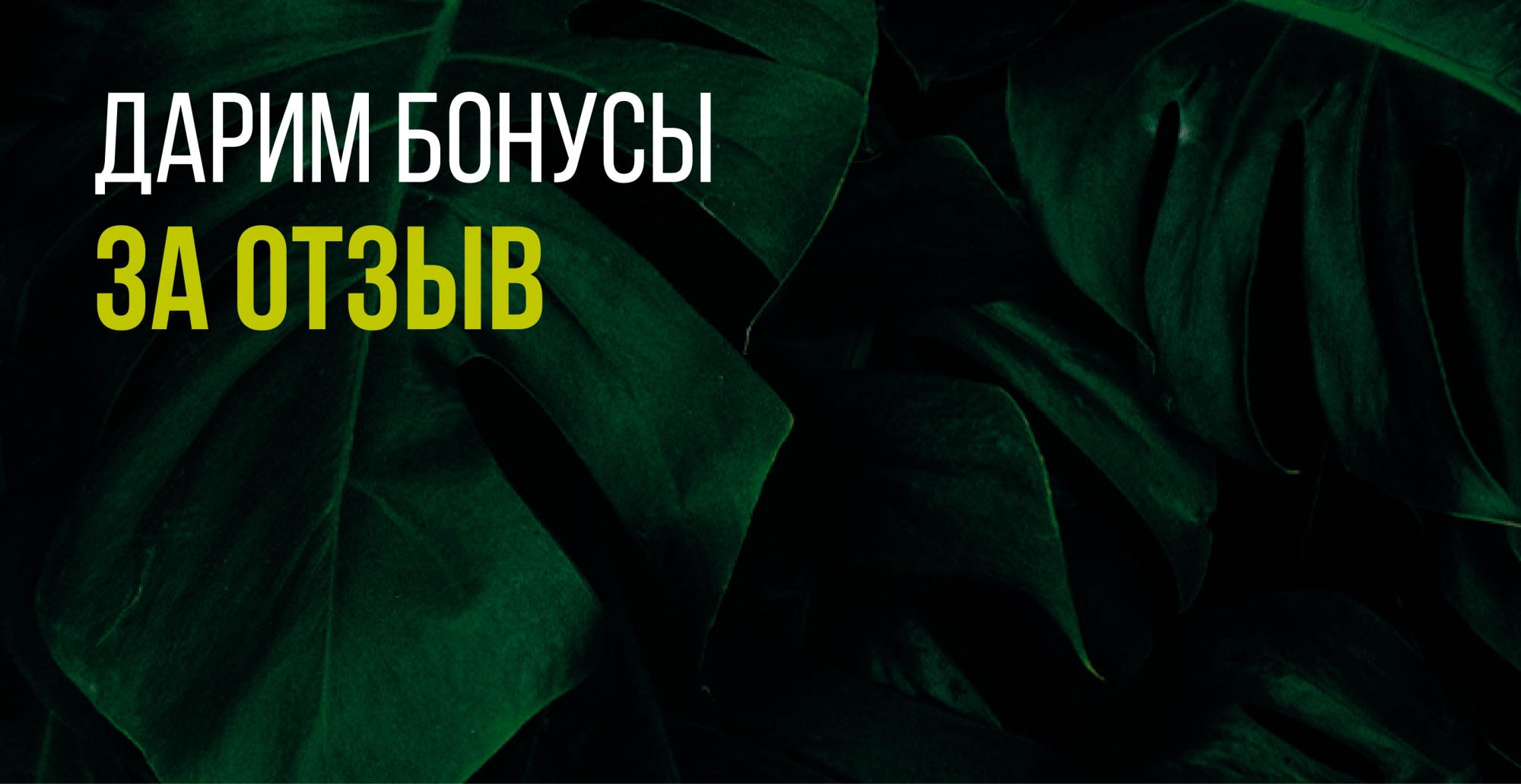 Дарим бонусы за отзыв